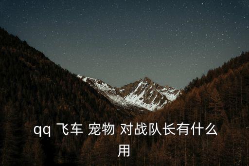 qq飛車寵物對戰