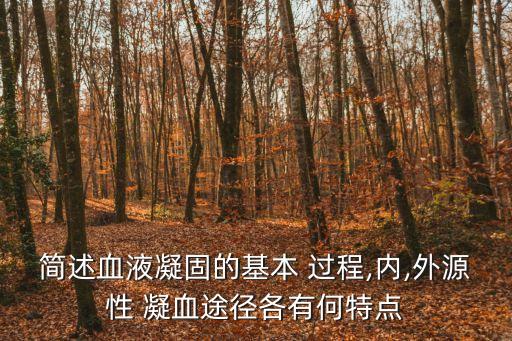 凝血過程,血液凝固可分為三部分