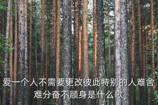 愛一個(gè)人不需要更改彼此特別的人難舍難分奮不顧身是什么歌