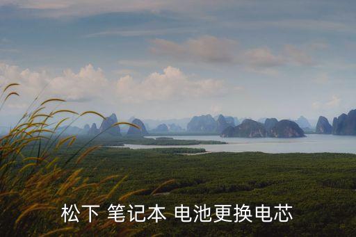 松下 筆記本 電池更換電芯