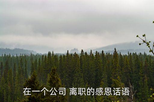 在一個(gè)公司 離職的感恩話語(yǔ)