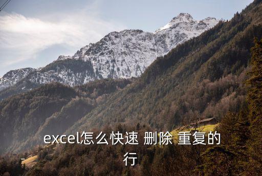  excel怎么快速 刪除 重復的行