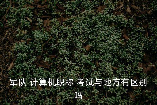 軍隊 計算機職稱 考試與地方有區別嗎