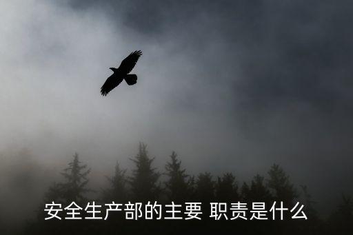 安全生產職責,第二十二條生產經營單位及安全生產管理人員履行下列職責之一