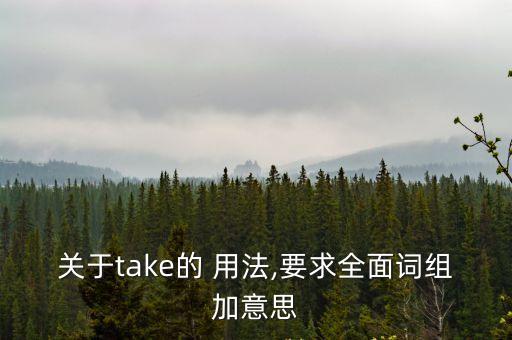 take的用法,堅毅向前預算案2021