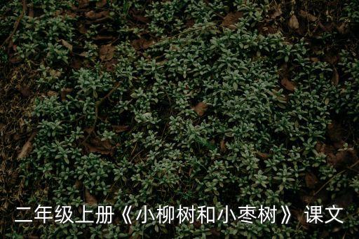 小學經典課文,從小學到大學有哪些經典課文?