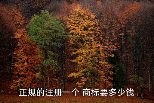 深圳商標(biāo)注冊(cè),深圳如何進(jìn)行商標(biāo)注冊(cè)?查詢有什么程序?