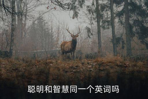 聰明和智慧同一個英詞嗎