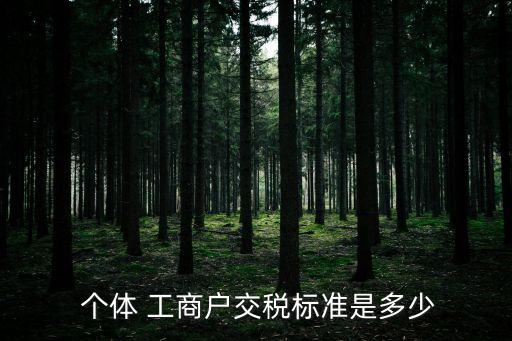  個(gè)體 工商戶交稅標(biāo)準(zhǔn)是多少