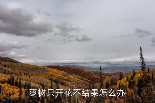 棗只,臺灣省大青棗為何只開花不結果?