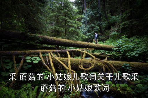 采 蘑菇的 小姑娘兒歌詞關于兒歌采 蘑菇的 小姑娘歌詞