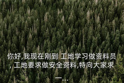 你好,我現(xiàn)在剛到 工地學(xué)習(xí)做資料員, 工地要求做安全資料,特向大家求一...