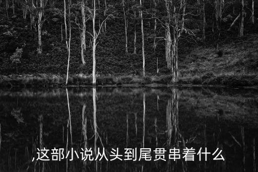 貫串,這部小說從頭到尾貫串著什么?