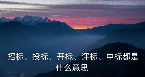  招標、投標、開標、評標、中標都是什么意思