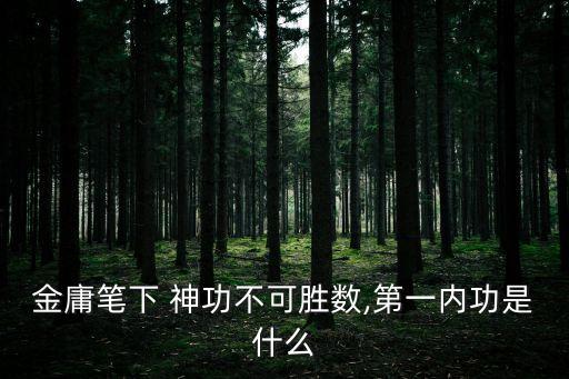 太玄經(jīng)神功創(chuàng)始人,太玄經(jīng)內(nèi)功是俠客行中頂級武功
