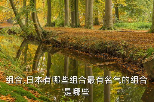 日本組合,日本有哪些組合?最有名氣的組合是哪些?