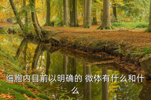 微體,微粒體與微體名詞解釋