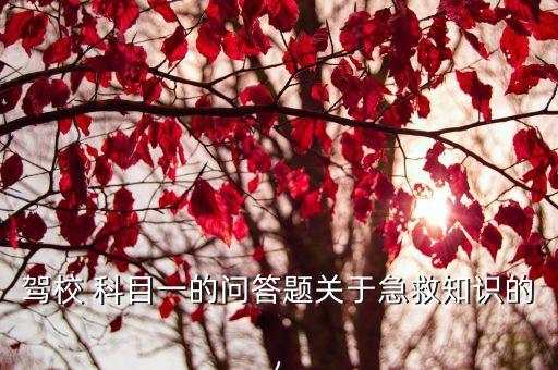 駕校 科目一的問(wèn)答題關(guān)于急救知識(shí)的,