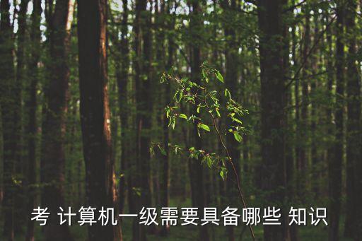 考 計(jì)算機(jī)一級需要具備哪些 知識
