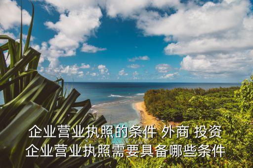  企業營業執照的條件 外商 投資 企業營業執照需要具備哪些條件