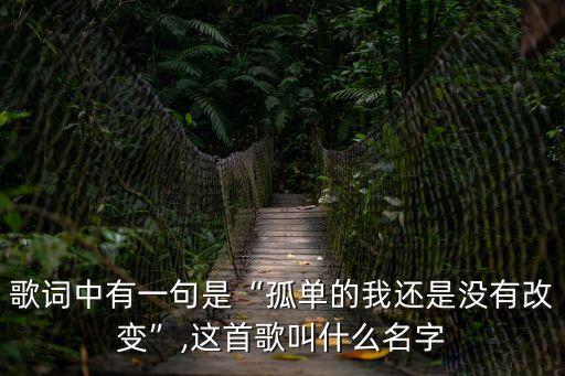 歌詞中有一句是“孤單的我還是沒有改變”,這首歌叫什么名字