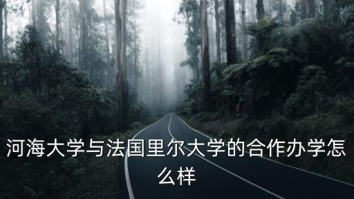 中法學(xué)院,中國(guó)人大中法學(xué)院是985嗎?
