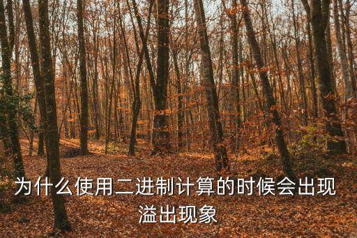 溢出,什么是數(shù)據(jù)溢出?一起來看看!