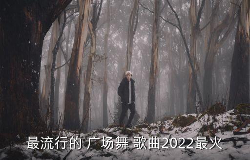 廣場舞經(jīng)典歌曲,最火廣場舞歌曲:《走進(jìn)新時代》