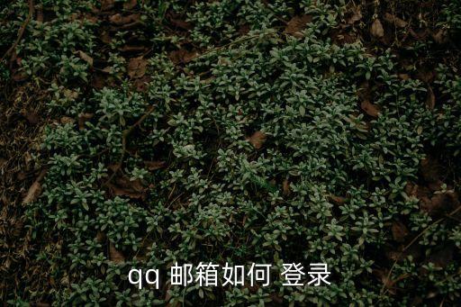 登錄郵箱,點(diǎn)擊登錄按鈕確認(rèn)授權(quán)后可以登錄多個郵箱
