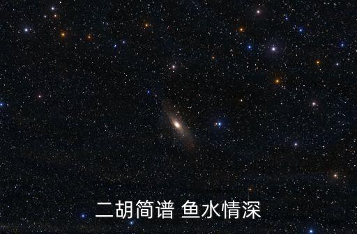 二胡簡譜 魚水情深