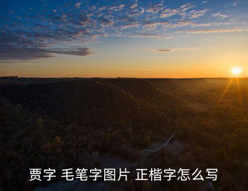 正楷毛筆書法,學書法先認字再看碑帖大家一起來學習!