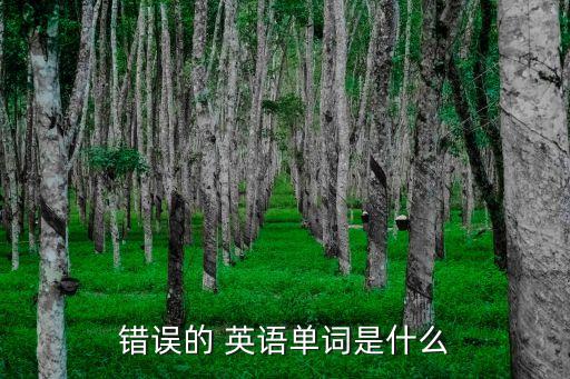 錯誤英語,一文看懂!英文短語有何用法?