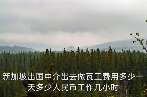 新加坡出國中介，請問新加坡干裝修怎么樣出國中介費是多少