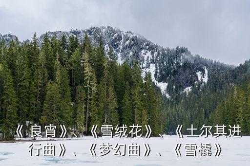 《 良宵》、《雪絨花》、《土爾其進行曲》、《夢幻曲》、《雪橇》
