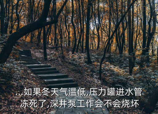 ...如果冬天氣溫低,壓力罐進水管 凍死了,深井泵工作會不會燒壞