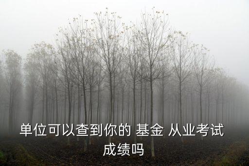 基金從業成績查詢,基金從業考試成績查詢入口7月7日起開通