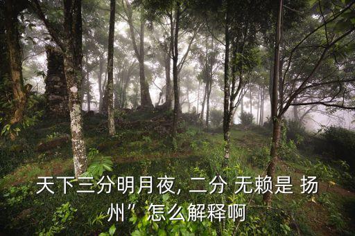 天下三分明月夜, 二分 無賴是 揚州”怎么解釋啊