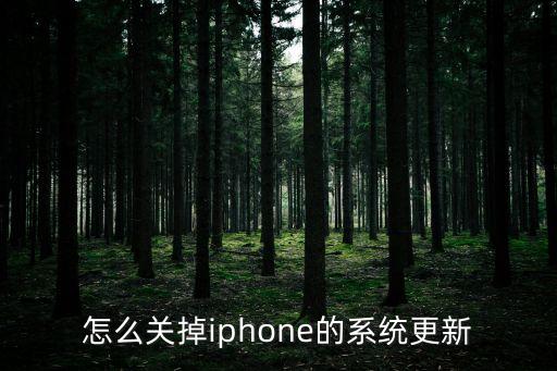 怎么關掉iphone的系統更新
