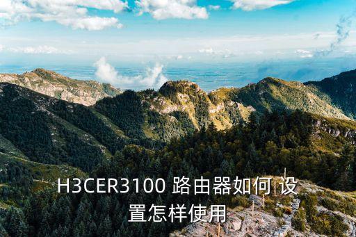 H3CER3100 路由器如何 設置怎樣使用