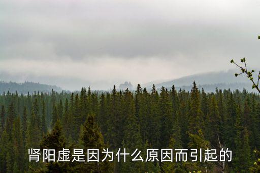 腎陽虛是因為什么原因而引起的
