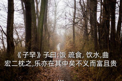 《子罕》子曰:飯 疏食, 飲水,曲宏二枕之,樂亦在其中矣不義而富且貴...