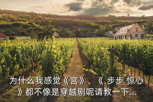 為什么我感覺《宮》、《 步步 驚心》都不像是穿越劇呢請教一下...