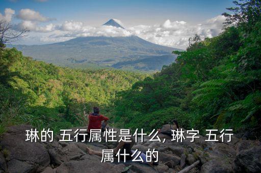 琳的 五行屬性是什么, 琳字 五行屬什么的