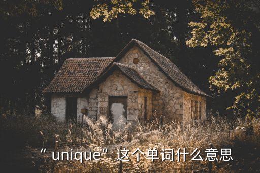 unique什么意思,unique意思和用法
