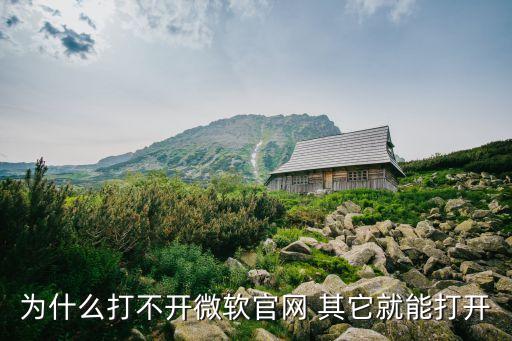 微軟官網打不開，為什么微軟官網進不去
