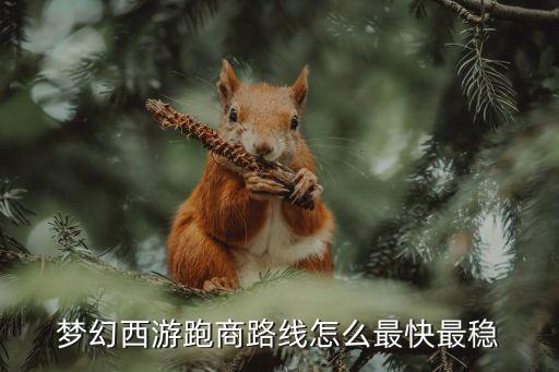 夢幻跑商攻略，夢幻西游跑商路線怎么最快最穩