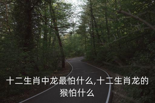 十二生肖中龍最怕什么,十二生肖龍的猴怕什么