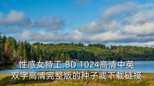 性感女特工.BD 1024高清中英雙字高清完整版的種子或下載鏈接