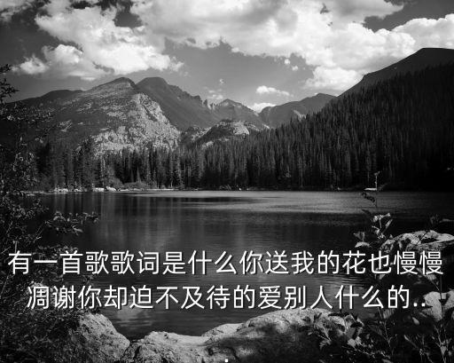 有一首歌歌詞是什么你送我的花也慢慢凋謝你卻迫不及待的愛別人什么的...