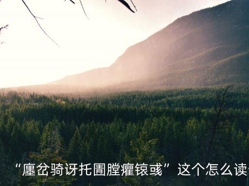 “廛岔騎訝托圊膛癯锿彧”這個怎么讀